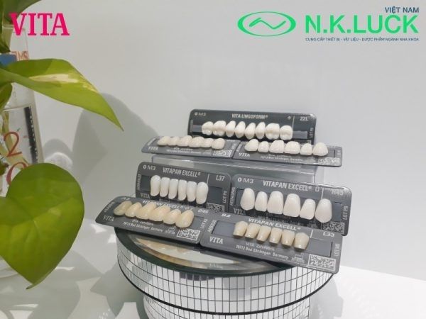Ảnh thực tế bộ răng tháo lắp VITAPAN EXCELL có tại N.K.Luck