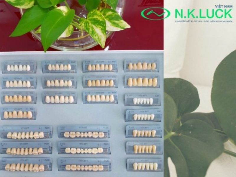 Ảnh thực tế bộ răng tháo lắp VITA MFT có tại N.K.Luck