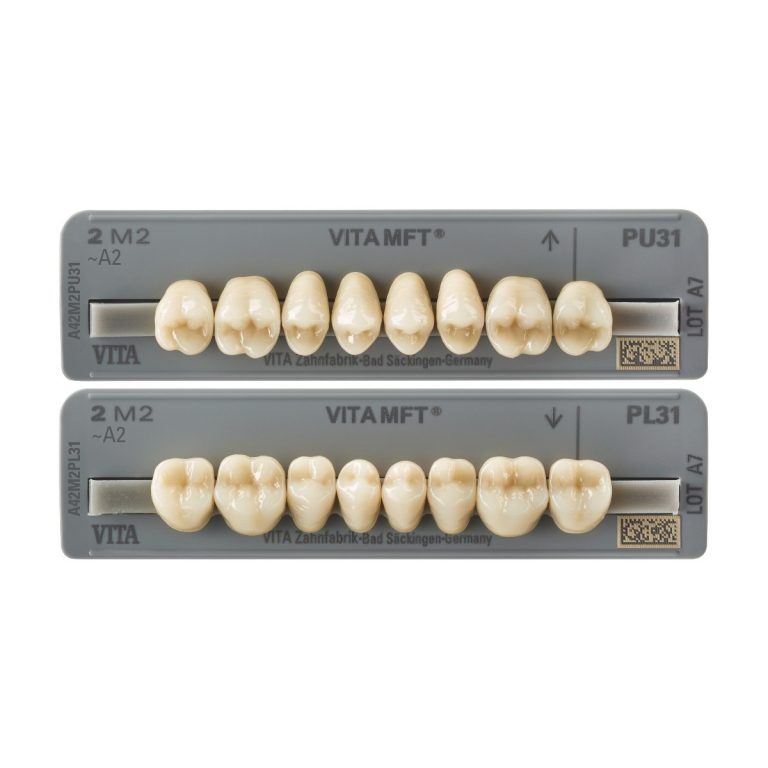 VITA MFT® Posterior - Răng cối