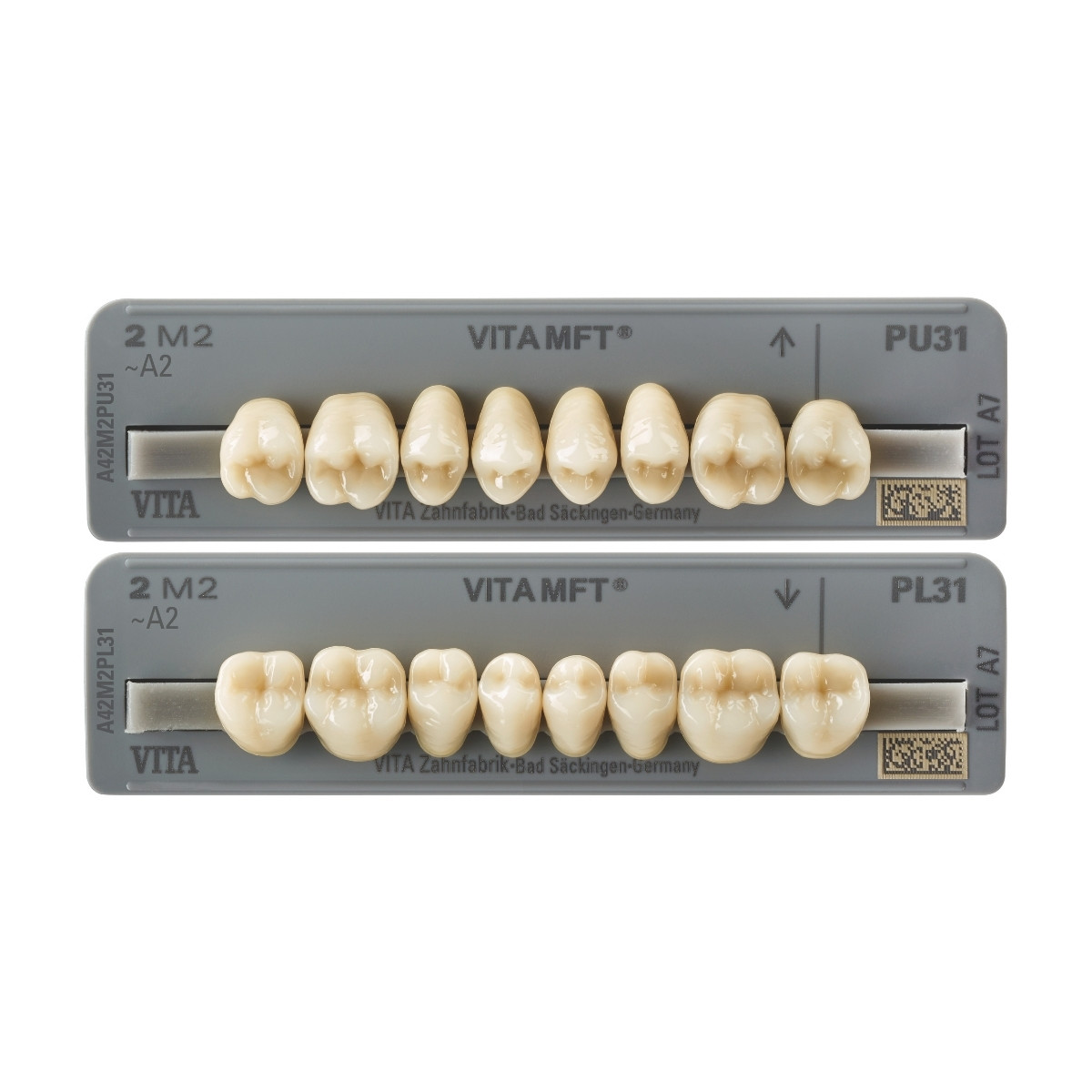 VITA MFT® Posterior - Răng cối