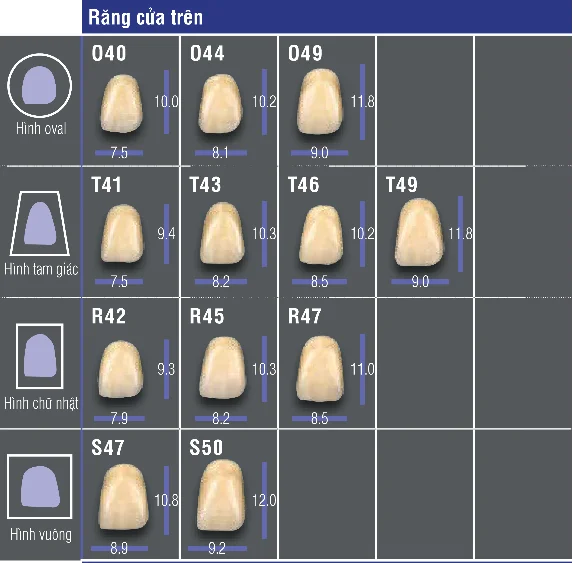 VITA MFT® Anterior - Răng cửa