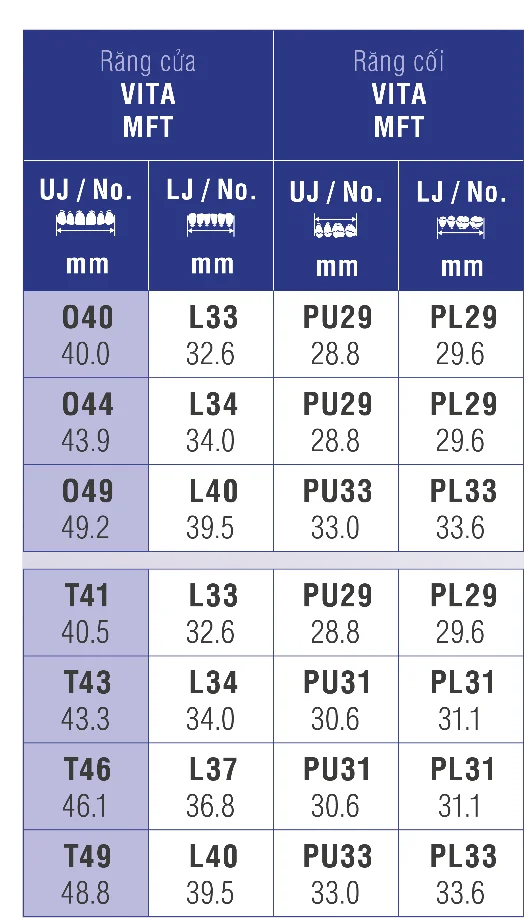 VITA MFT® Posterior - Răng cối