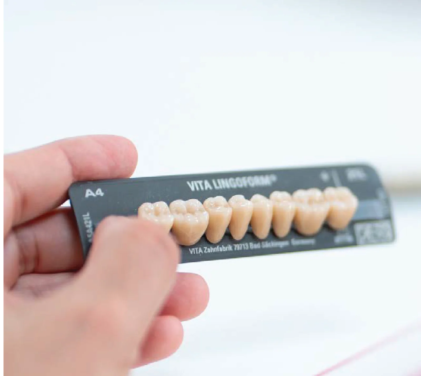 VITAPAN® LINGOFORM Posterior
