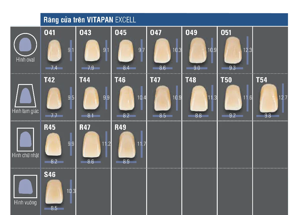 VITAPAN® LINGOFORM Posterior