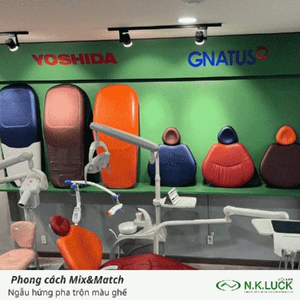 Ghế nha khoa ngày nay có nhiều kiểu dáng và màu sắc đệm ngồi