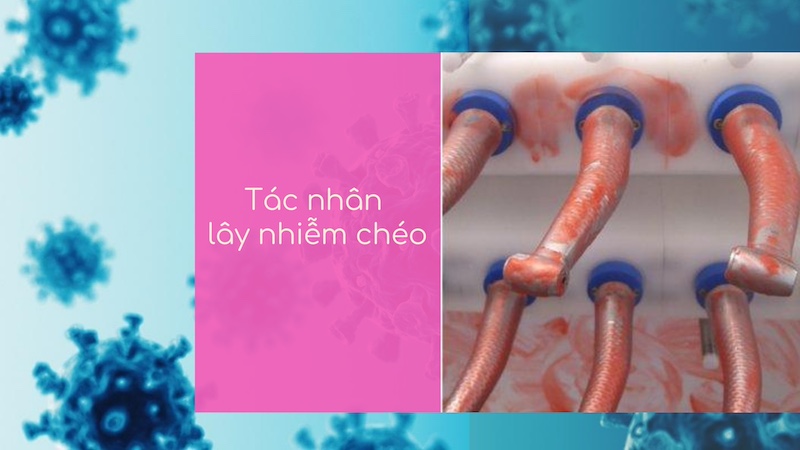 Tác nhân lây nhiễm chéo trong nha khoa & Quy trình làm sạch, khử khuẩn hiệu quả