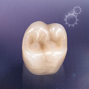 VITA MFT® Posterior - Răng cối